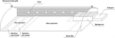 Growth, Water Use, and Nitrate-15N Uptake of Greenhouse Tomato as Influenced by Different Irrigation Patterns, 15N Labeled Depths, and Transplant Times